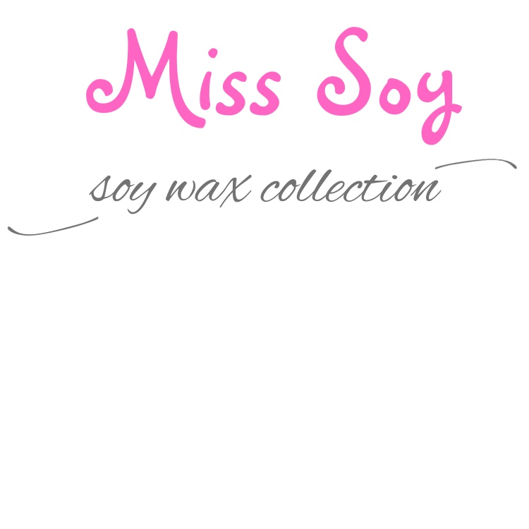 Miss Soy Ltd