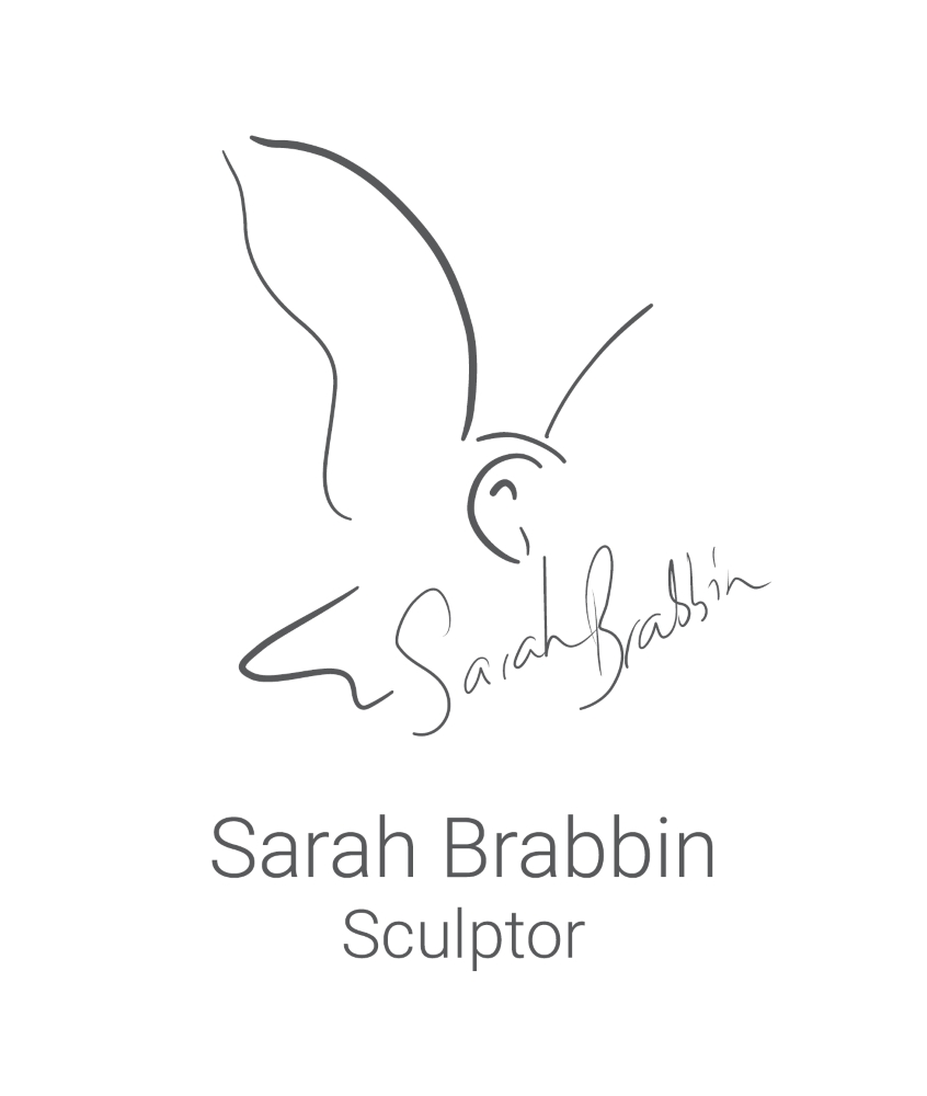 Sarah Brabbin
