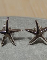 Silver Star Fish Studs
