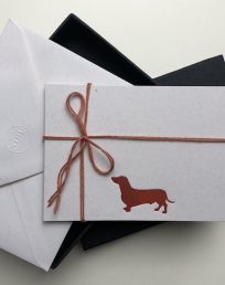 Boxed Notecards-Dachshund dog-Box of 10