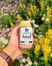 Soul Lager, a clean, crisp lager with citrus and vanilla hop flavours