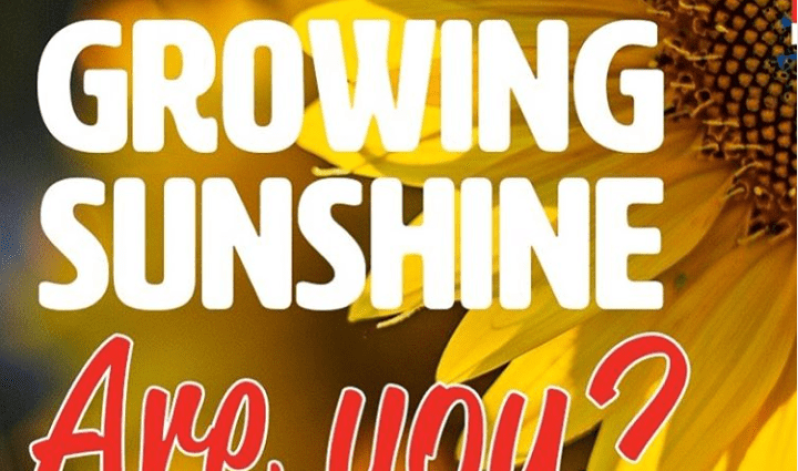 Grow some sunshine and support NHS heroes
