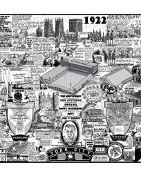 York City FC History