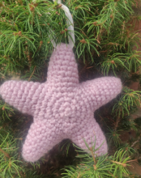 Star Decoration in Pink